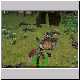 Dungeon Siege Screen - 0006.jpg